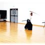 Photo of Ryushinjuku Aikido and Iaido