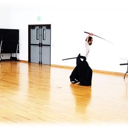 Ryushinjuku Aikido and Iaido - Iaido training