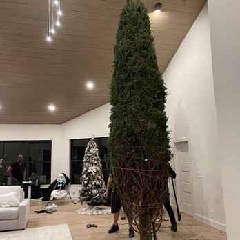 Biggest X-Mas Tree In Florida - Christmas Trees Near Me - Pembroke Pines, Florida Biggest X-Mas Tree In Florida - Christmas Trees Near Me - Pembroke Pines, Florida