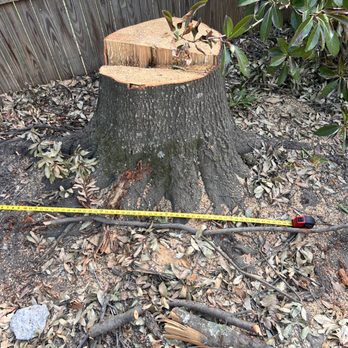 Sherman’s Tree Services - Tree Services Near Me - Mooresville , North Carolina Sherman’s Tree Services - Tree Services Near Me - Mooresville , North Carolina