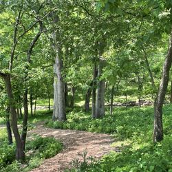 Twin Oaks Park