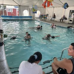 Bubbles Swim School - View from one end of the pool