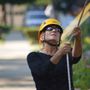 Photo of Daisy Tree Care