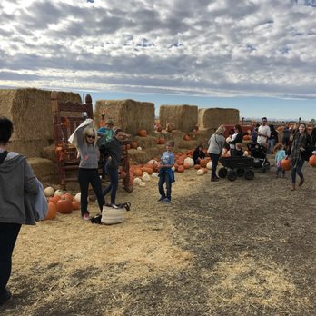 Calgary Farmyard - Amusement Parks Near Me - Rockyview, Alberta