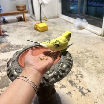 Austin Aquarium - Such cuties - Aquariums Near Me - Austin, Texas Austin Aquarium - Such cuties - Aquariums Near Me - Austin, Texas