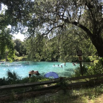 Silver Glen Springs - Parks Near Me - Salt Springs, Florida Silver Glen Springs - Parks Near Me - Salt Springs, Florida