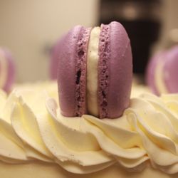 JJ's Sweet Treats - Lavender Macaron Cake