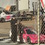 Photo of Wake County Speedway