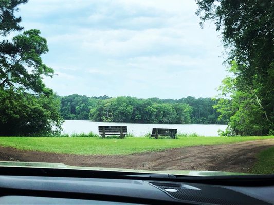 Sea Pines Forest Preserve by null