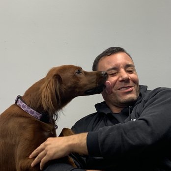 dan's dog walking and pet sitting