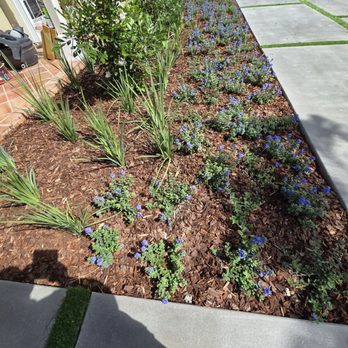 Green Simple Landscape - Landscaping Near Me Green Simple Landscape - Landscaping Near Me