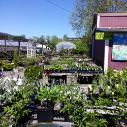 Thieneman's-Creativity grows here