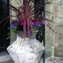 Photo of Dig It Landscape & Garden Design