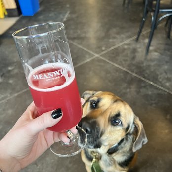 Meanwhile Brewing - Dogs and the perfect sour. Only at Meanwhile. - Breweries Near Me - Austin, Texas Meanwhile Brewing - Dogs and the perfect sour. Only at Meanwhile. - Breweries Near Me - Austin, Texas