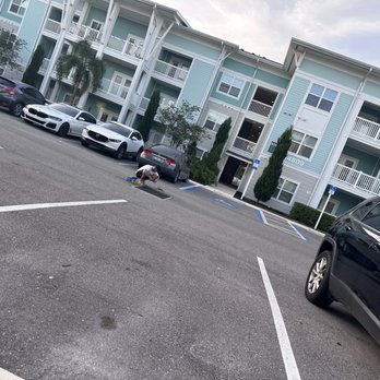 Sage at Cypress Cay - Apartments Near Me - Lutz, Florida Sage at Cypress Cay - Apartments Near Me - Lutz, Florida