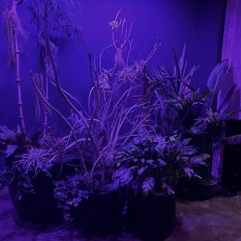 Bathhouse - Williamsburg - Entrance - Massage Near Me - Brooklyn, New York