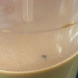 Thai coffee Thai coffee
