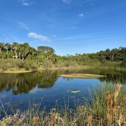 Maritime Hammock Sanctuary - Freshwater pond at back of loop trail