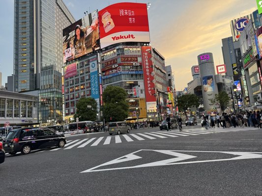 Shibuya Crossing by null
