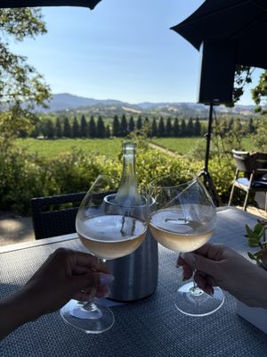 Copain Wines by null