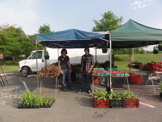 West End Farmers Market by null