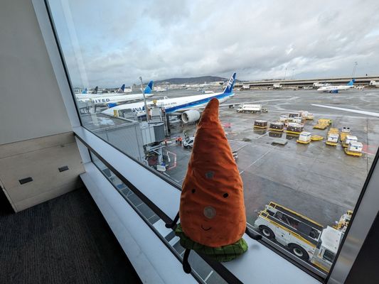 ANA (All Nippon Airways) by null