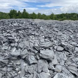 Penn Dixie Fossil Park & Nature Reserve - The "quarry" of fossils.