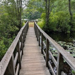 Browning Mill Pond Trail