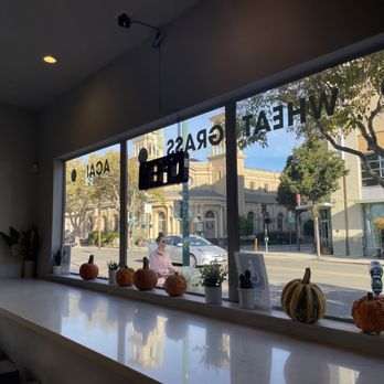 Main Squeeze - View from indoor counter - Juice Bars & Smoothies Near Me - Alameda, California