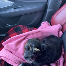 First day coming home