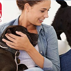Arkansas Lane Animal Hospital