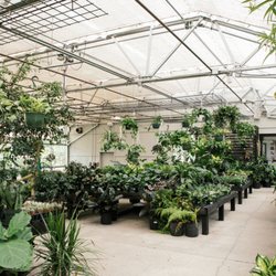 Mettowee Mint - Tropical greenhouse with cafe seating