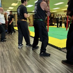 Practicing kun fu