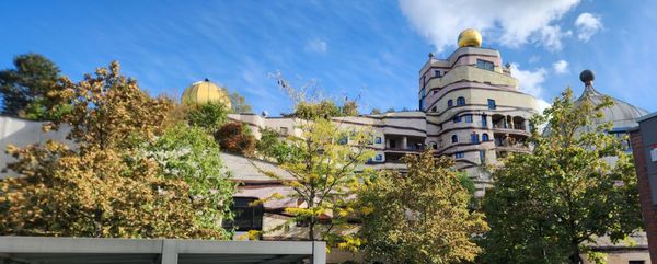 Waldspirale by null