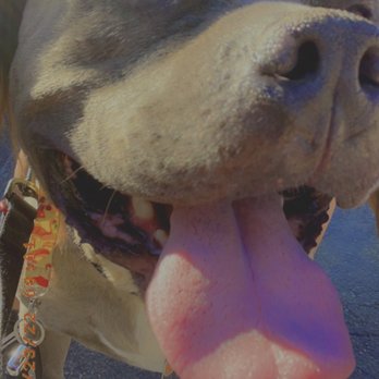 Huron Animal Hospital - Veterinarians Near Me - Thornton, Colorado