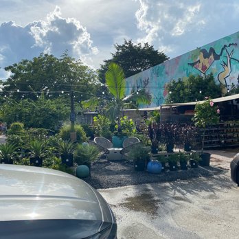 Midtown Garden Center - Nurseries & Gardening Near Me - Miami, Florida Midtown Garden Center - Nurseries & Gardening Near Me - Miami, Florida