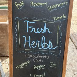 Magana Growers Nursery - I love this place