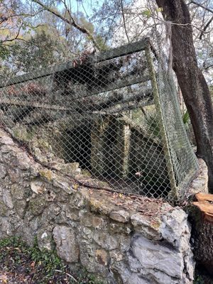Rainbow Springs State Park by null