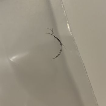 Amazing Lash Studio - Eyelash Service Near Me - Overland Park, Kansas