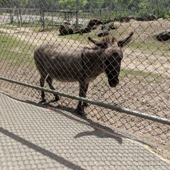 Waterloo Park - Parks Near Me - Waterloo, Ontario