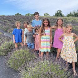 Lightwell Lavender Farm - U PICK :)