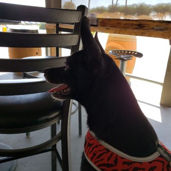 Harris BBQ - Dog friendly patio - Barbeque Near Me - Coalinga, California Harris BBQ - Dog friendly patio - Barbeque Near Me - Coalinga, California
