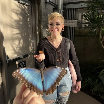 Butterfly Biosphere - Caught 2 butterflies - Children's Museums Near Me - Lehi, Utah
