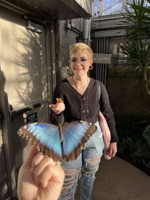 Butterfly Biosphere by null