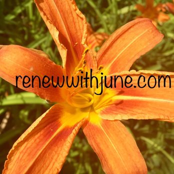 Renew with June - Massage Therapy Near Me - Glens Falls, New York Renew with June - Massage Therapy Near Me - Glens Falls, New York