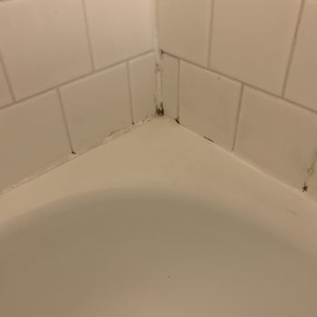 La Grande Inn - Mold around the shower - Hotels Near Me - La Grande, Oregon La Grande Inn - Mold around the shower - Hotels Near Me - La Grande, Oregon