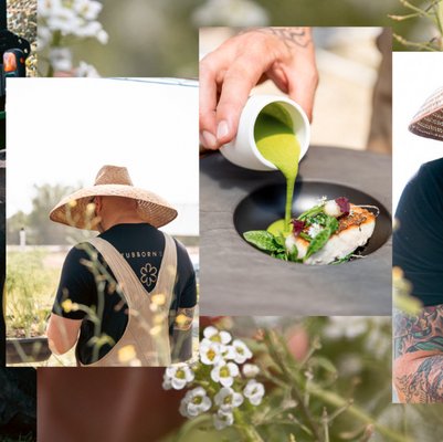 Stubborn Seed - Miami Beach by null