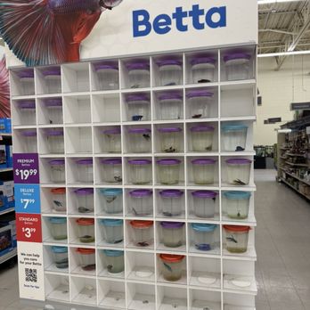 PetSmart - This is not okay. - Pet Stores Near Me - Williston, Vermont