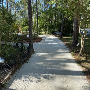 Tibet-Butler Preserve - Parks Near Me - Orlando, Florida Tibet-Butler Preserve - Parks Near Me - Orlando, Florida