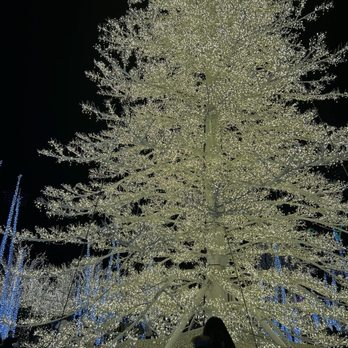Enchant Las Vegas - Most prettiest tree - Festivals Near Me - Las Vegas, Nevada Enchant Las Vegas - Most prettiest tree - Festivals Near Me - Las Vegas, Nevada